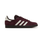 Gazelle 'Maroon Gum